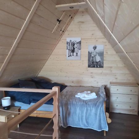 Apartament Szarotka Закопане Екстер'єр фото